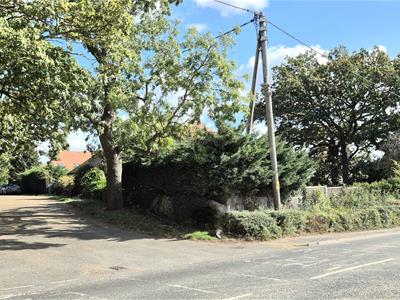 Picture 20